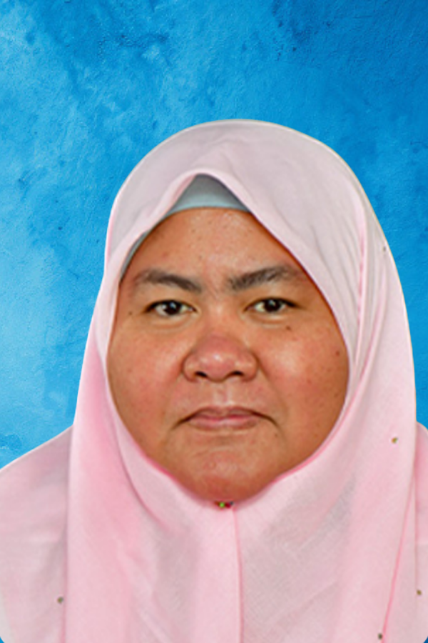 Hazlin Bashirina binti Bashrusin